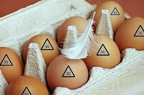 Voedselveiligheid 500pix